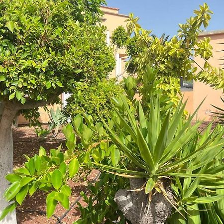 Ocean View Apartment In Orlando Costa Adeje  Exterior photo
